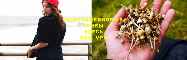 мескалин Алексин